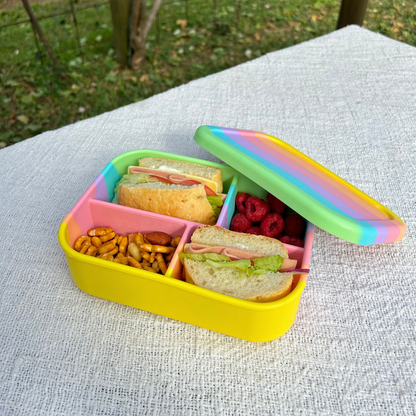 The Zero Waste People Silicone Bento 4 Container - Assorted Colours