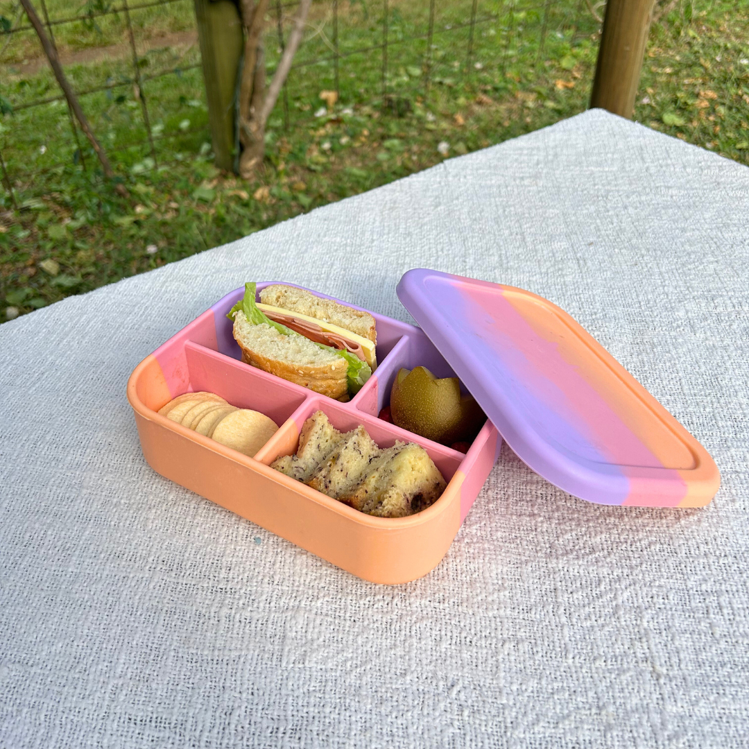 The Zero Waste People Silicone Bento 4 Container - Assorted Colours