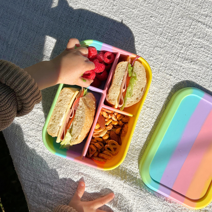 The Zero Waste People Silicone Bento 4 Container - Assorted Colours