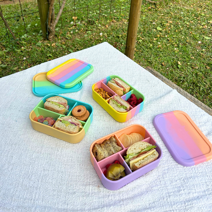 The Zero Waste People Silicone Bento 4 Container - Assorted Colours