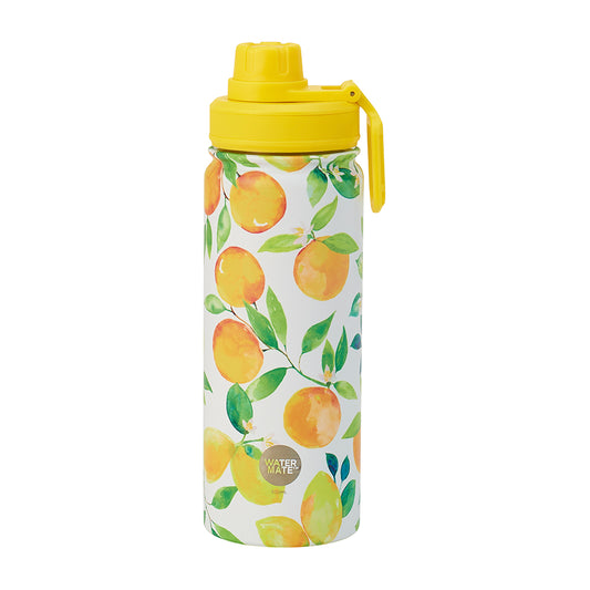 Annabel Trends Watermate Stainless Drink 550ml Bottle - Amalfi Citrus