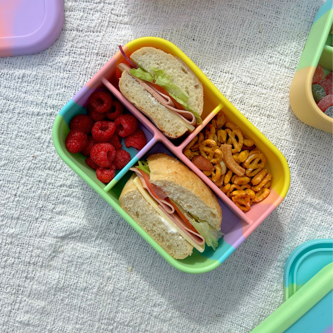 The Zero Waste People Silicone Bento 4 Container - Assorted Colours