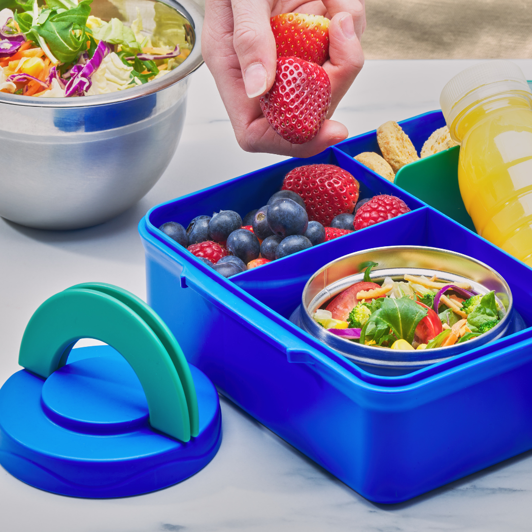 Avanti YumYum Bento Lunch Box w/ Insulated Food Jar - Assorted Colours *PREORDER*