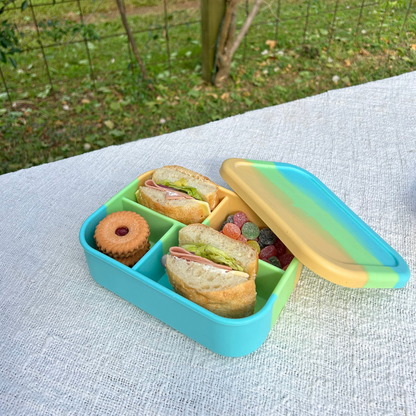 The Zero Waste People Silicone Bento 4 Container - Assorted Colours