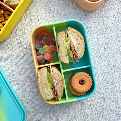 The Zero Waste People Silicone Bento 4 Container - Assorted Colours