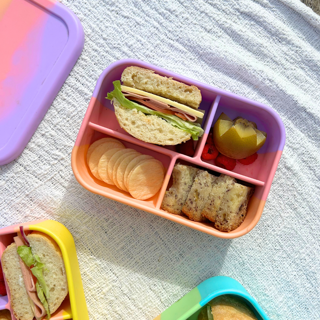 The Zero Waste People Silicone Bento 4 Container - Assorted Colours