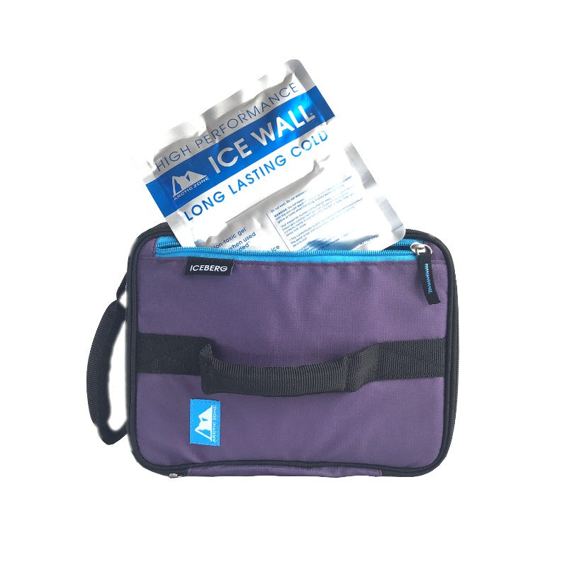 Arctic Zone Expandable Lunch Pack - Logan