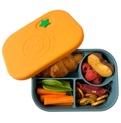 Pick Plates Silicone Bento Pick Box - Assorted Colours