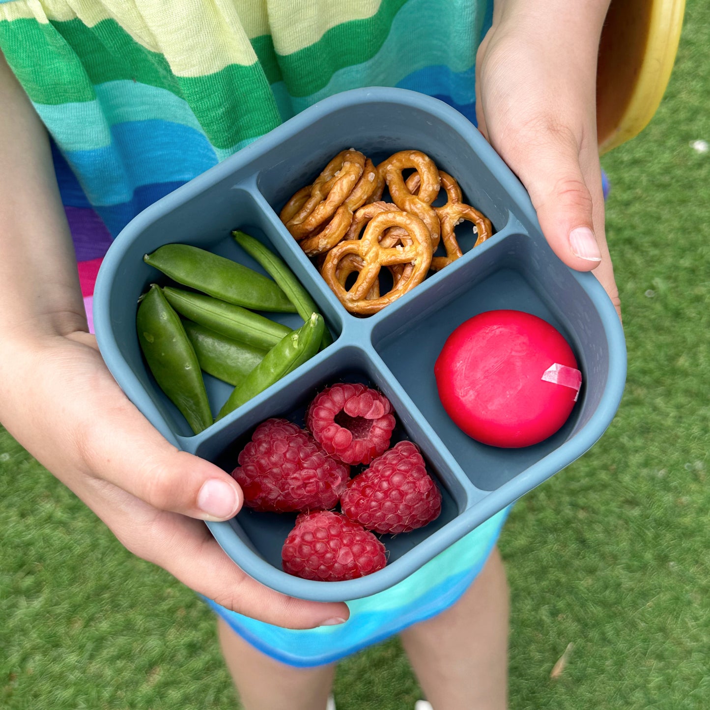 Pick Plates Silicone Snack Pick Box - Assorted Colours