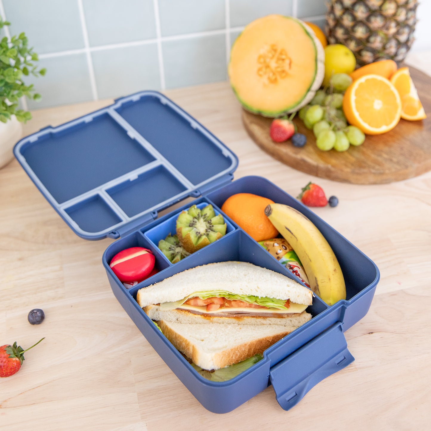 MontiiCo Feast Bento Lunchbox - Navy *PREORDER*