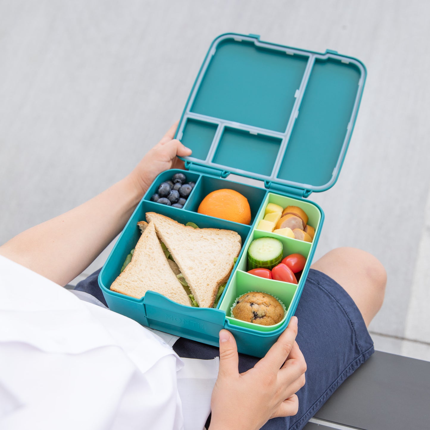 MontiiCo Feast Bento Lunchbox - Pine *PREORDER*