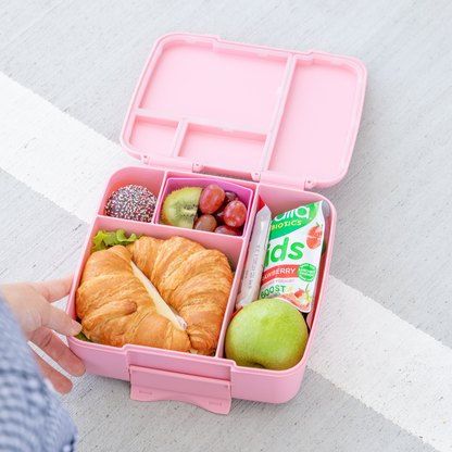 MontiiCo Feast Bento Lunchbox - Dahlia *PREORDER*