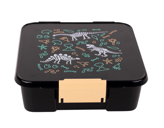 MontiiCo Bento Five Lunchbox - Dinosaur Land