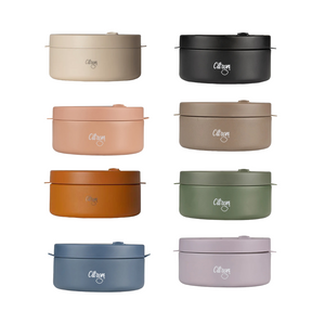 Citron 400ml Insulated Food Jar - Assorted Colours