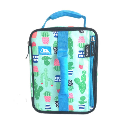 Arctic Zone Expandable Lunch Pack - Cactus