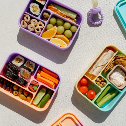 The Zero Waste People Silicone Bento Lunchbox - Assorted Colours