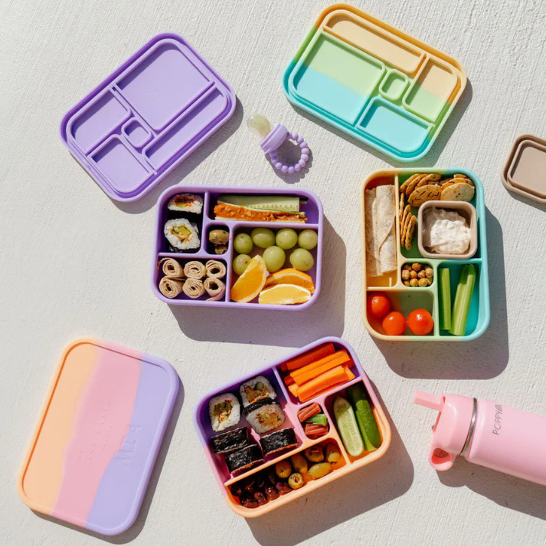 The Zero Waste People Silicone Bento Lunchbox - Assorted Colours