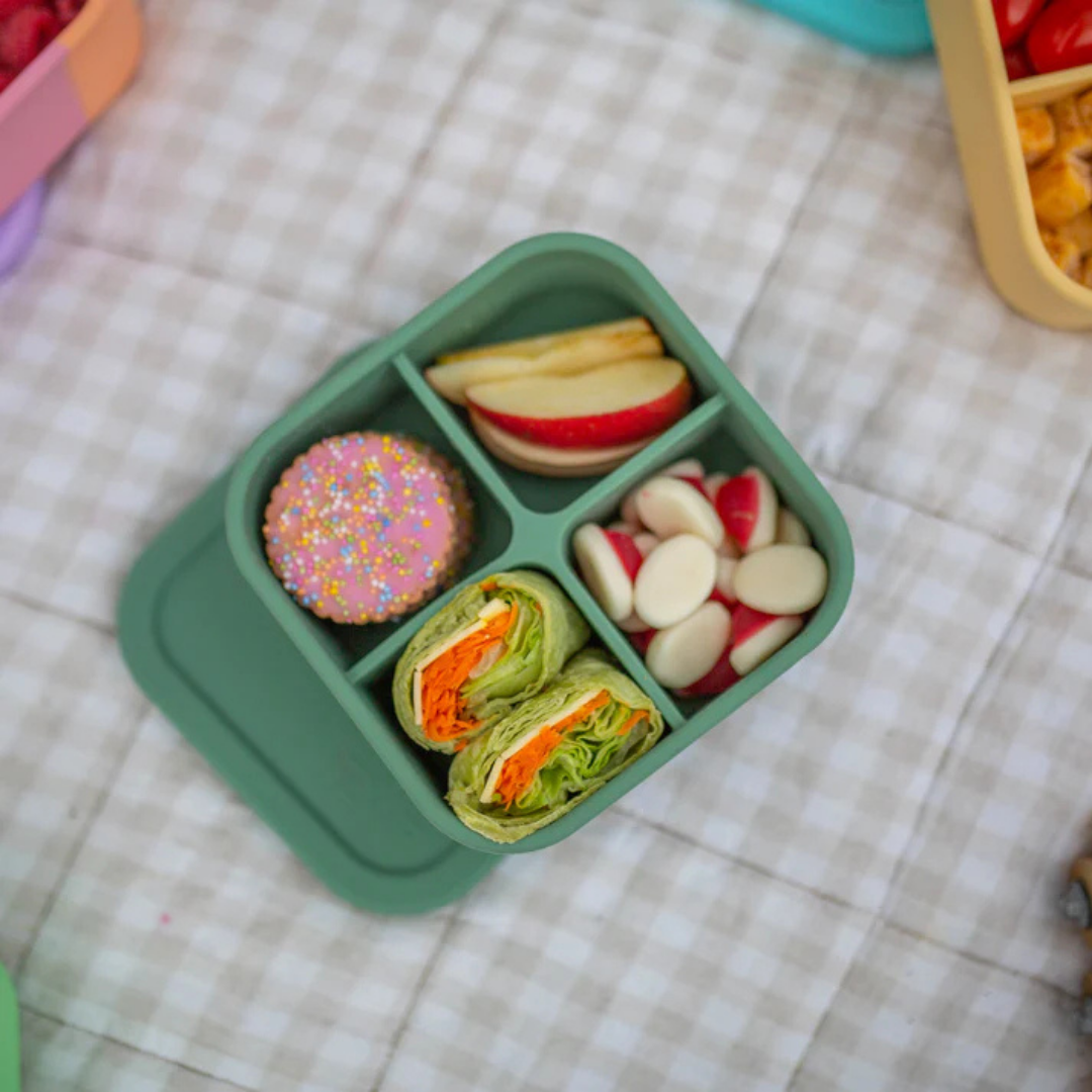 The Zero Waste People Silicone Bento Snack Box - Assorted Colours