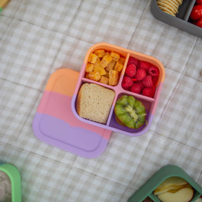 The Zero Waste People Silicone Bento Snack Box - Assorted Colours