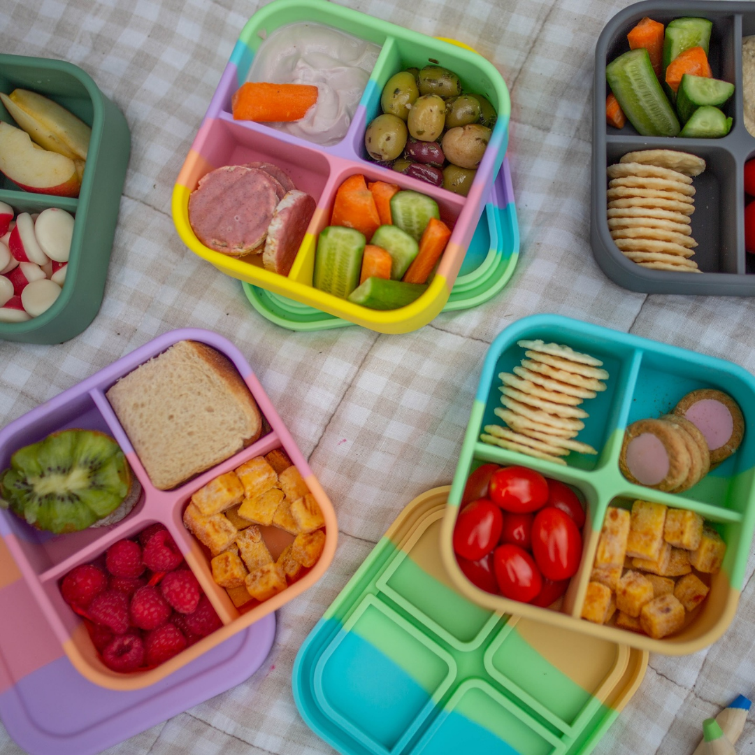 The Zero Waste People Silicone Bento Snack Box - Assorted Colours